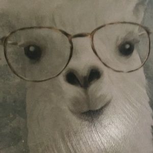 Meet your Posher, Fay